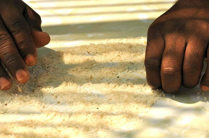 sorting rice on the back steps of the kitchen - FG