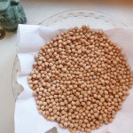 Sprouted chickpeas, dry, Day 1