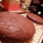 Double Chocolate Raspberry Cake - just the cake