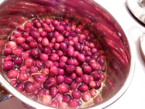 Cranberries & Orange, bring to a boil - Food Gypsy