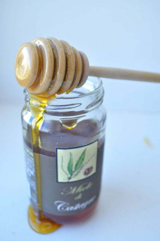 Chestnut Honey - Food Gypsy