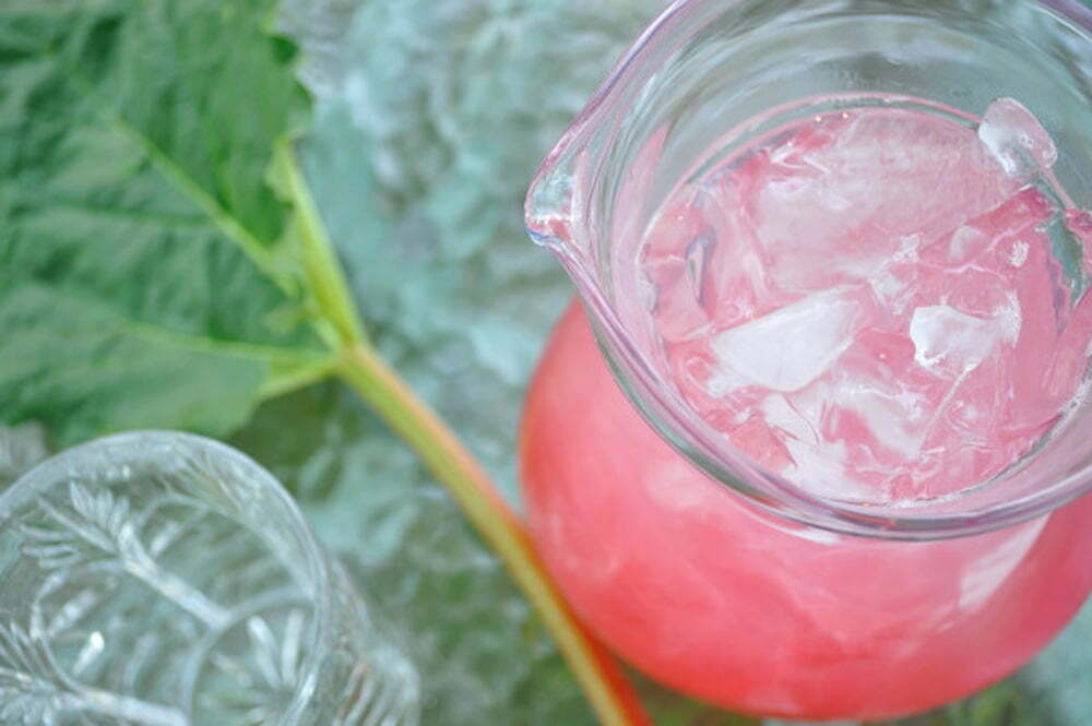 Rhubarb Ginger Fizz - Food Gypsy