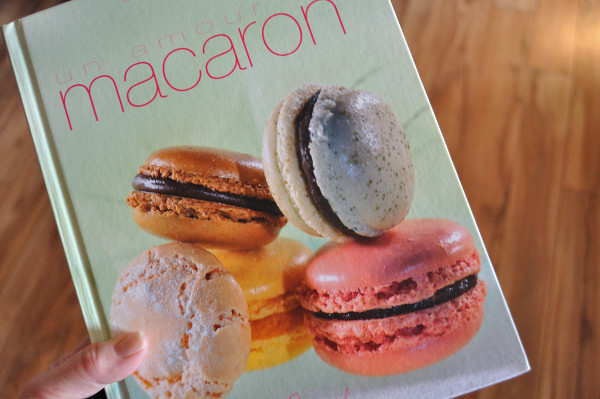 Macaron Lisse, and great reading - Food Gypsy