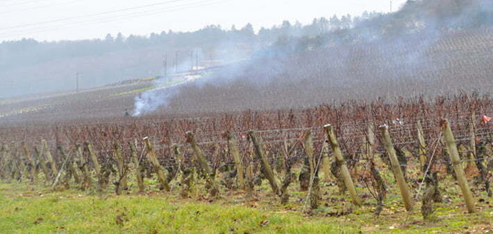 Burning the sarments, Cote du Beaune - Food Gypsy