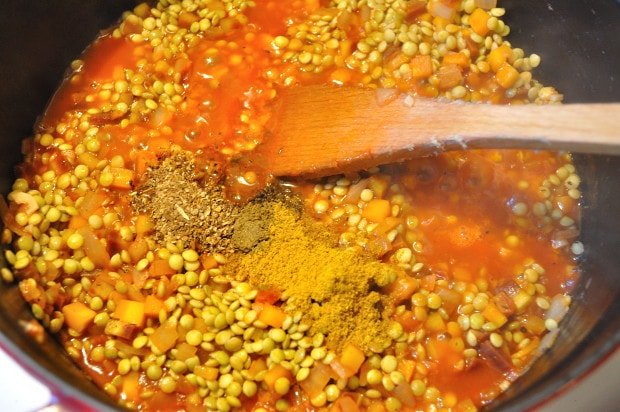 Lentil Curry, adding spice - Food Gypsy